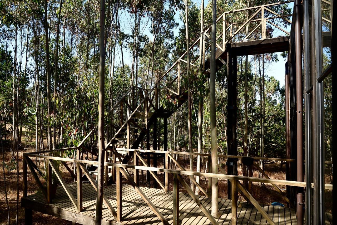 Tripanko Lodge & Bungalows Pichilemu Exterior photo