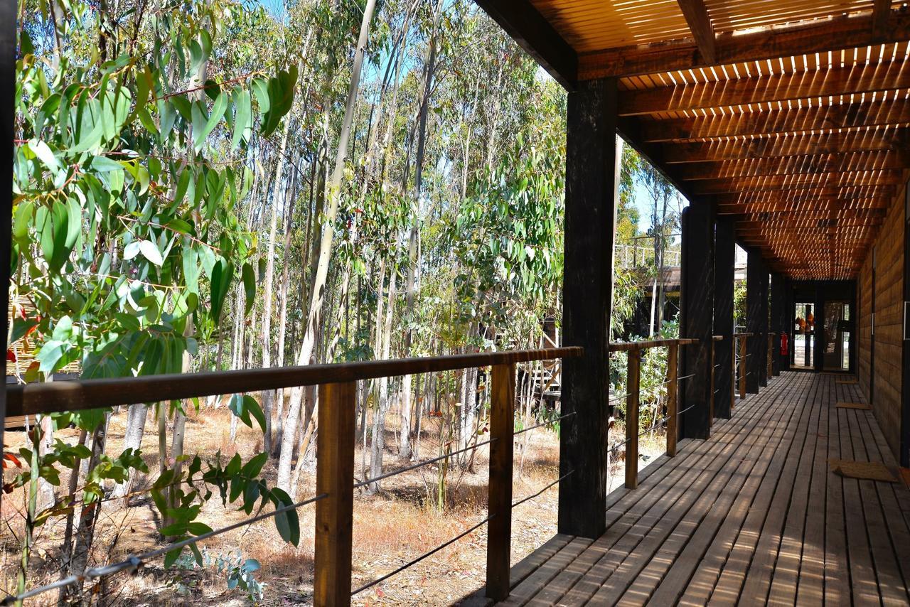 Tripanko Lodge & Bungalows Pichilemu Exterior photo