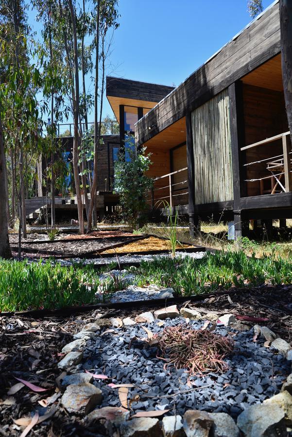Tripanko Lodge & Bungalows Pichilemu Exterior photo