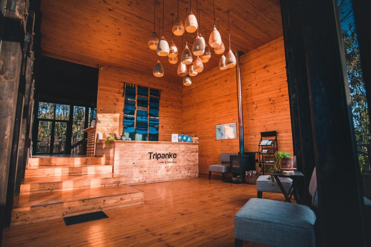 Tripanko Lodge & Bungalows Pichilemu Exterior photo